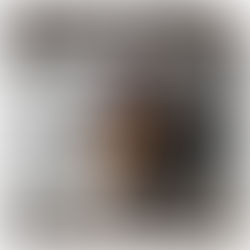 假如子女問我#06...「為甚麼蝙蝠會倒掛?」