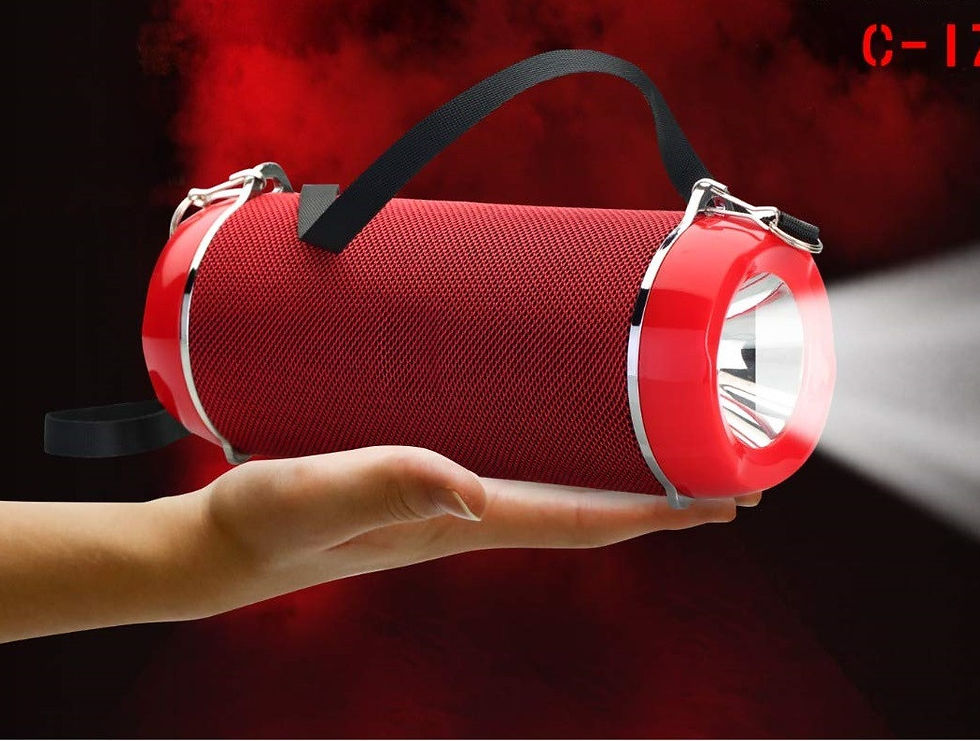 Thumbnail: RD C 170 Wireless Speaker