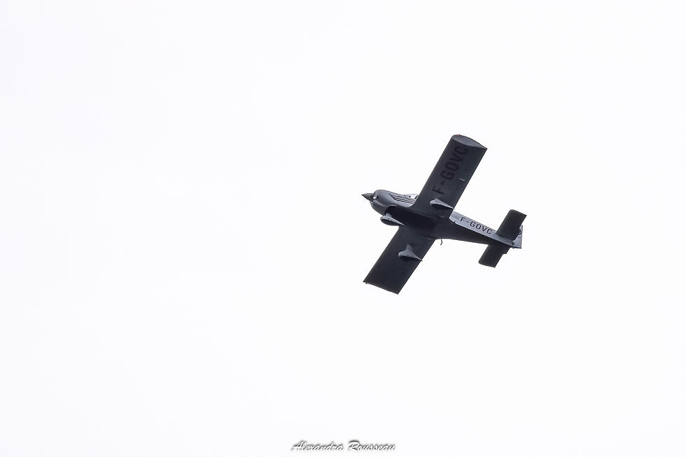 DSC_4394