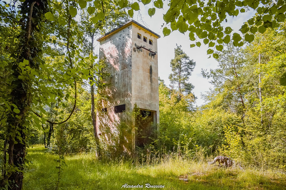 Cité 14 de Marckolsheim
