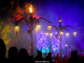 Fête de la Lumière