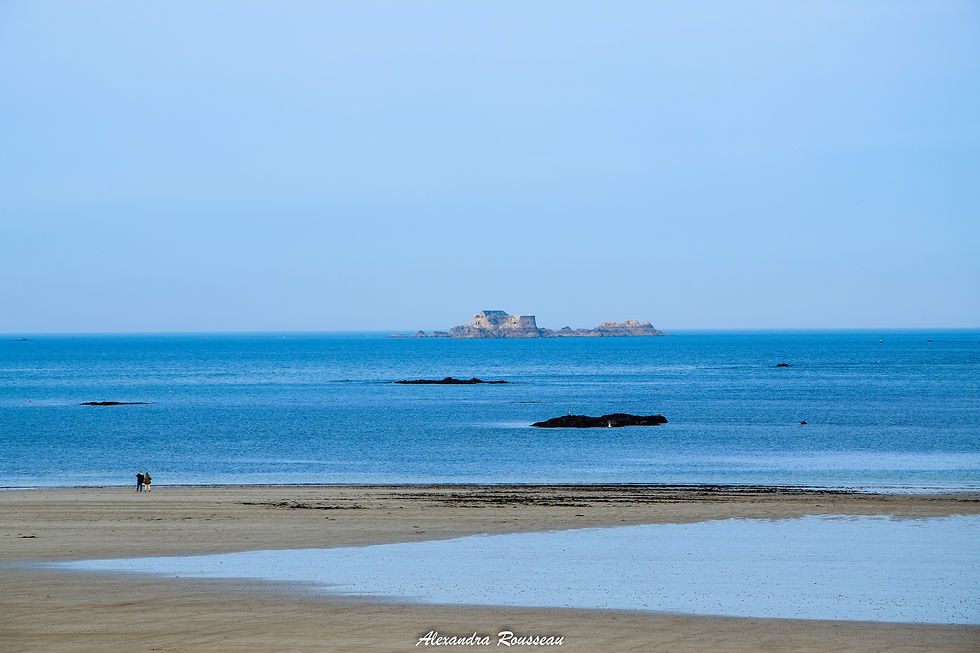 DSC_6198