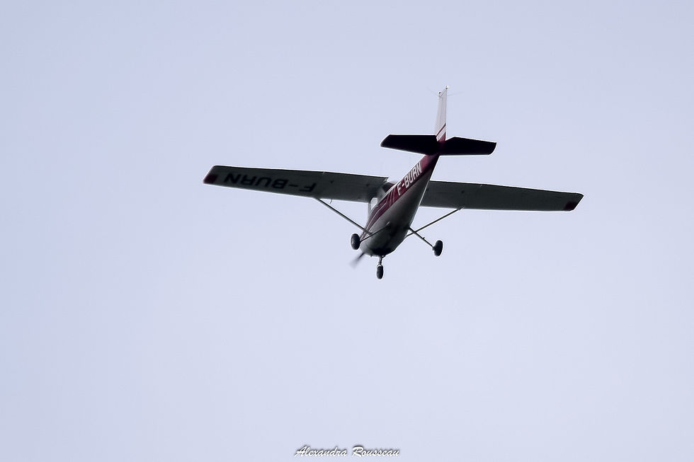 DSC_4304
