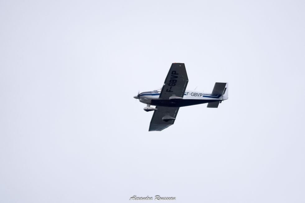 DSC_4493