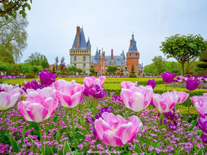Tulipiades au Château de Maintenon
