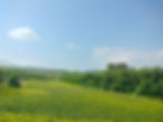 IMG20230721105821.jpg