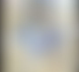 LA PESADILLA DEL 11 DE SEPTIEMBRE