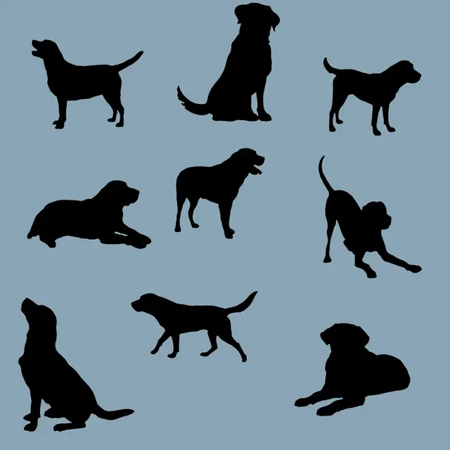 Black Labrador Everhot / Esse hob lid covers in a range of colours