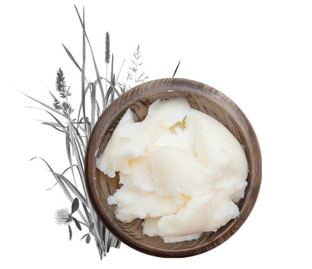 SkinCare_GrassFedTallow.jpg