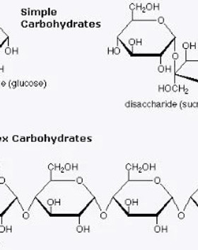 carbohydrates.jpg