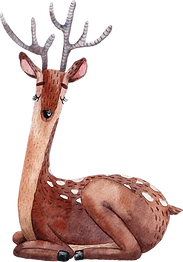 Drawing of Reindeer
