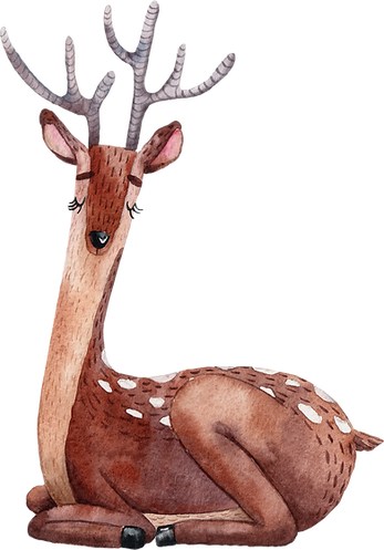 Drawing of Reindeer