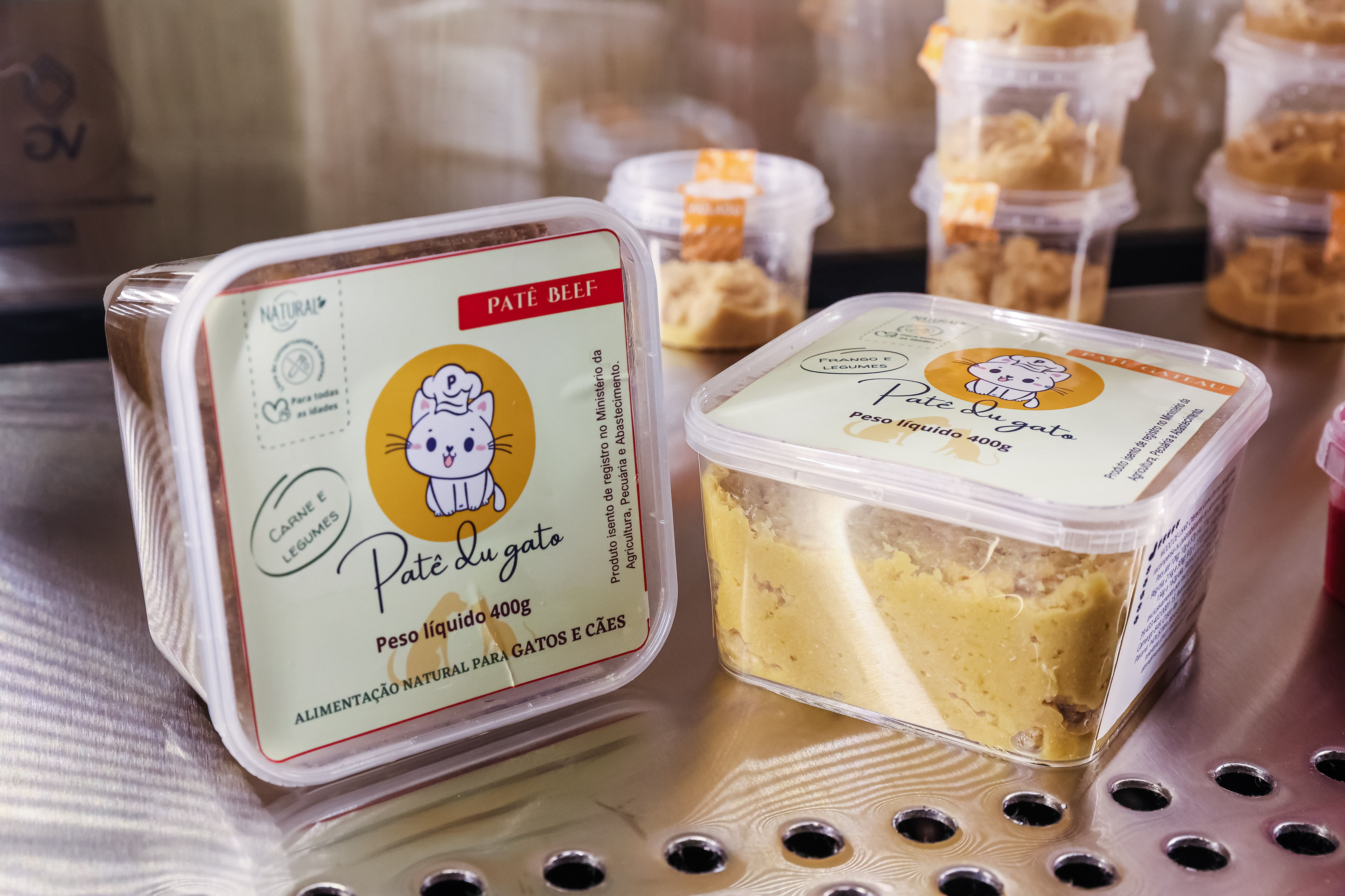 Arranged Food and Objects