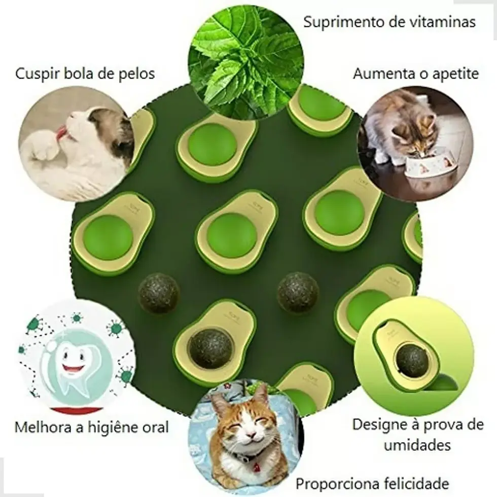 Miniatura: Catnip Abacate