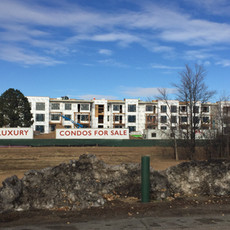 Denver Yimbys for Good – there is already too much development and sufficient height recommendations, we do not want any height increase recommendations!