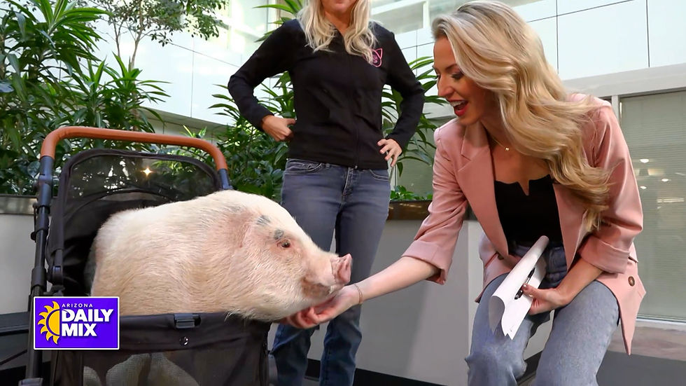 Better Piggies Featured on Arizona's Daily Mix