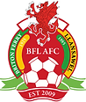 Briton Ferry Llansawel AFC, Old Road, SA11 2BU