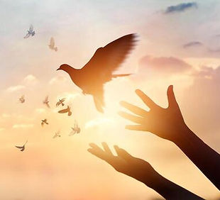 woman-praying-and-free-the-birds-enjoying-nature-on-sunset-background-hope-concept-photo.j