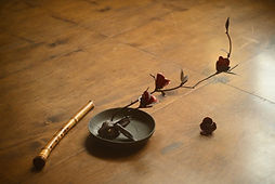 IMG_4984.JPG