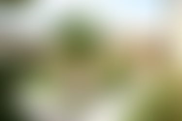 COMPLEXE HÔTELIER - Bouches-du-Rhône