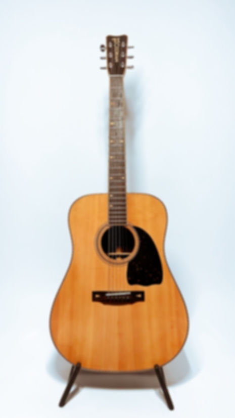 *USED* Hohner HG-920