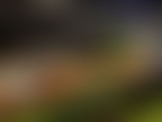 Spice Up Your Ottawa Event: The 2026 Guide to Indian Dining & Catering