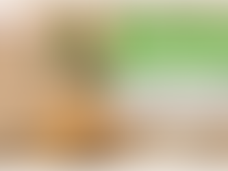 Atelier en ligne packaging éco-responsable