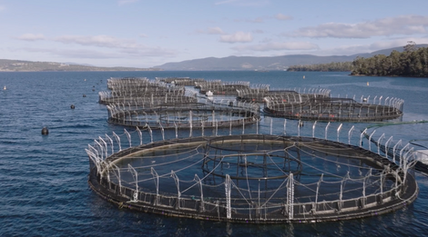 Exploring beneath the waves