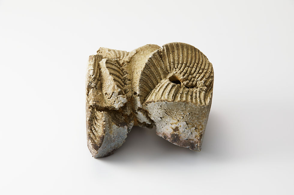 Natural Ash Sculptural Form, courtesy of the artist