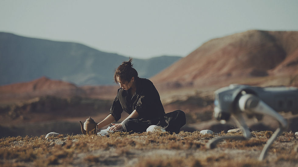 Peng Yun_WU.Stone.Sardapass | 圖_澳門藝術博物館