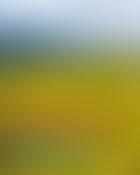 池上，台灣品牌經營最成功的鄉鎮，因為那裡有一群人。| 「池上秋收稻穗藝術節」報導 (一)_米商之子梁正賢