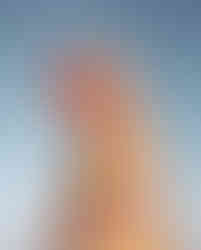 Hoda Afshar Untitled #1; 2015-20