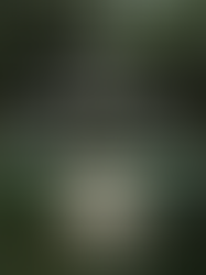 潮訊 | 源自經典與現代結合 | LALIQUE 全新專門店登陸 ifc mall