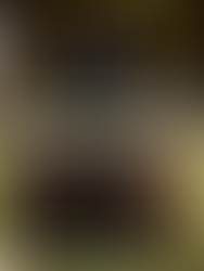 澳門特輯六 | 行走的奢華美學教科書 | 法國國寶設計師Bruno Moinard | 澳門銀河酒店《意象境界》展