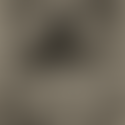 Knausgård: o exibicionismo como disfarce