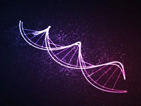Impactos da consanguinidade na saúde mental