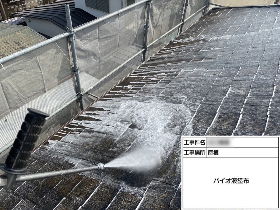 屋根 バイオ洗浄