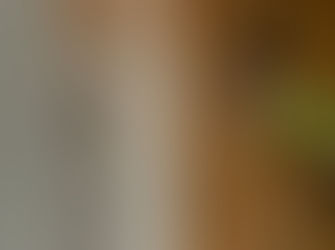 上益城郡益城町H様邸　外壁・屋根塗装工事