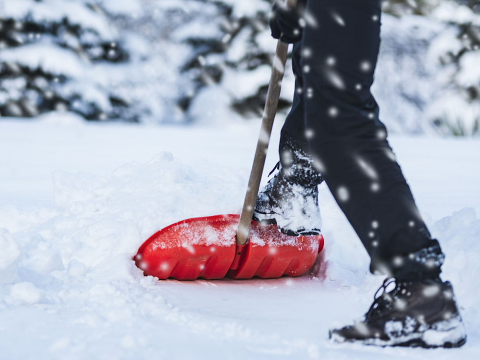 A Safe Home for the Holidays