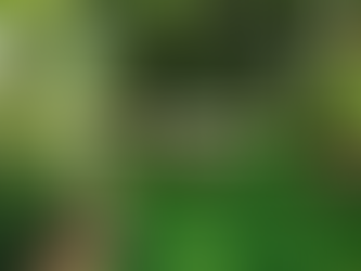 Smart Strategies for Beating Backyard Heat