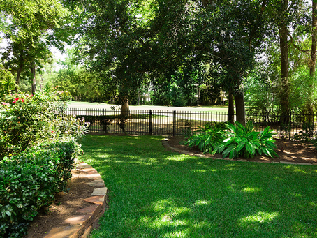 Smart Strategies for Beating Backyard Heat