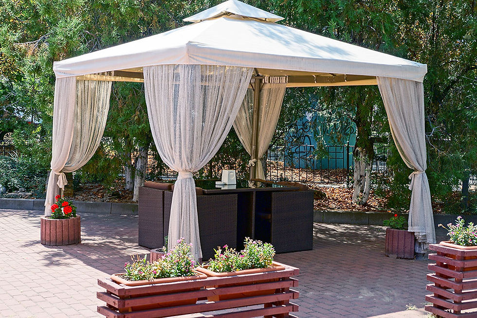 6 Ideas for Backyard Privacy