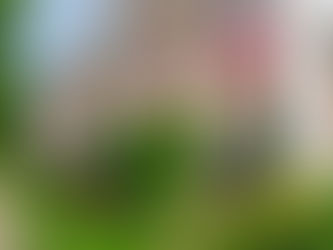 Make Sure Your Community and HOA Are Right for You