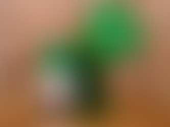 Ventura's Best St. Patrick's Day Weekend Bar Crawl