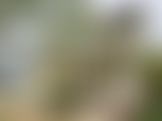 What Second-Time Homebuyers Need to Know