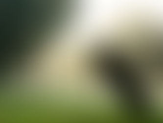 The Pros and Cons of Living Next to a Golf Course