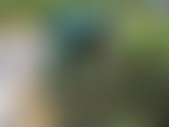 Gramado se mantém preparada para a retomada do turismo pós Covid-19