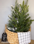 Christmas Viral Basket Video Pic.png