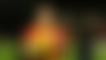 Preview | City step into Christmas in fine style