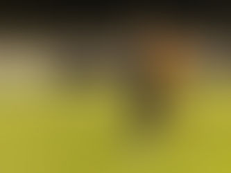 Reaction | Upbeat despite late set-back